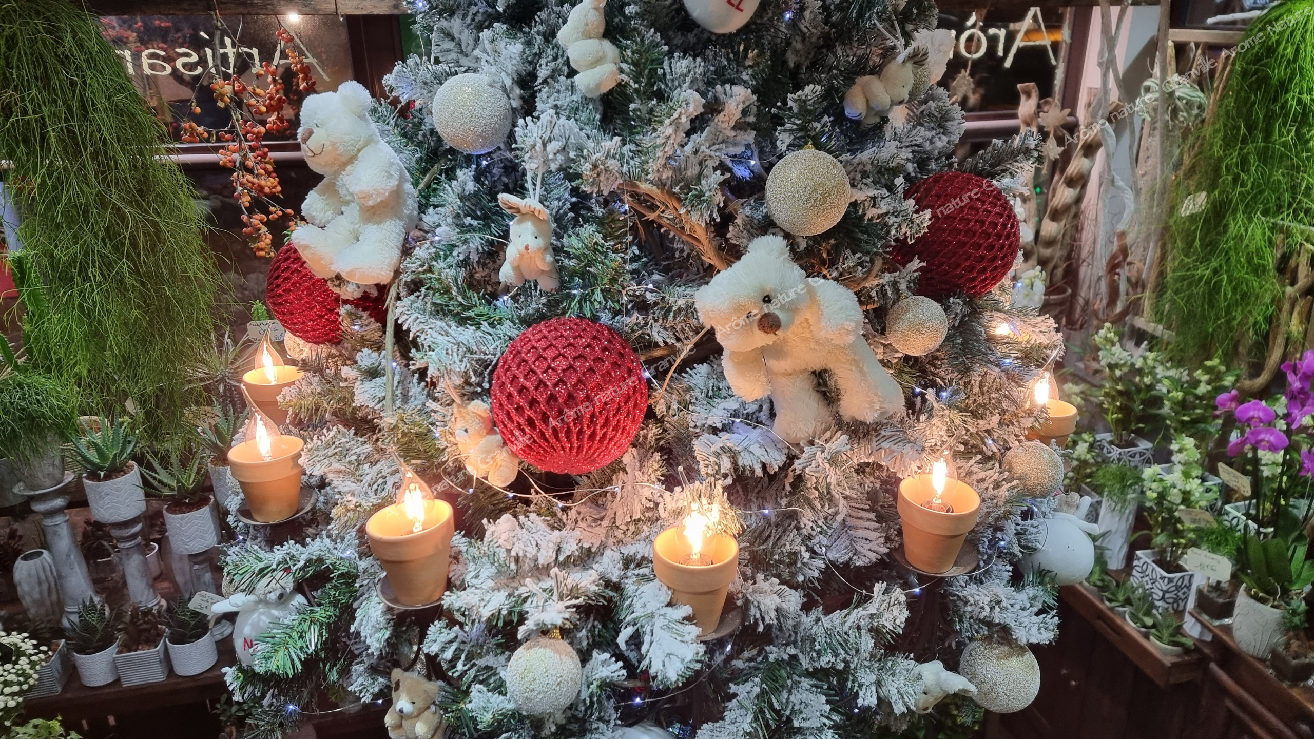 Arome nature - fleuriste granville