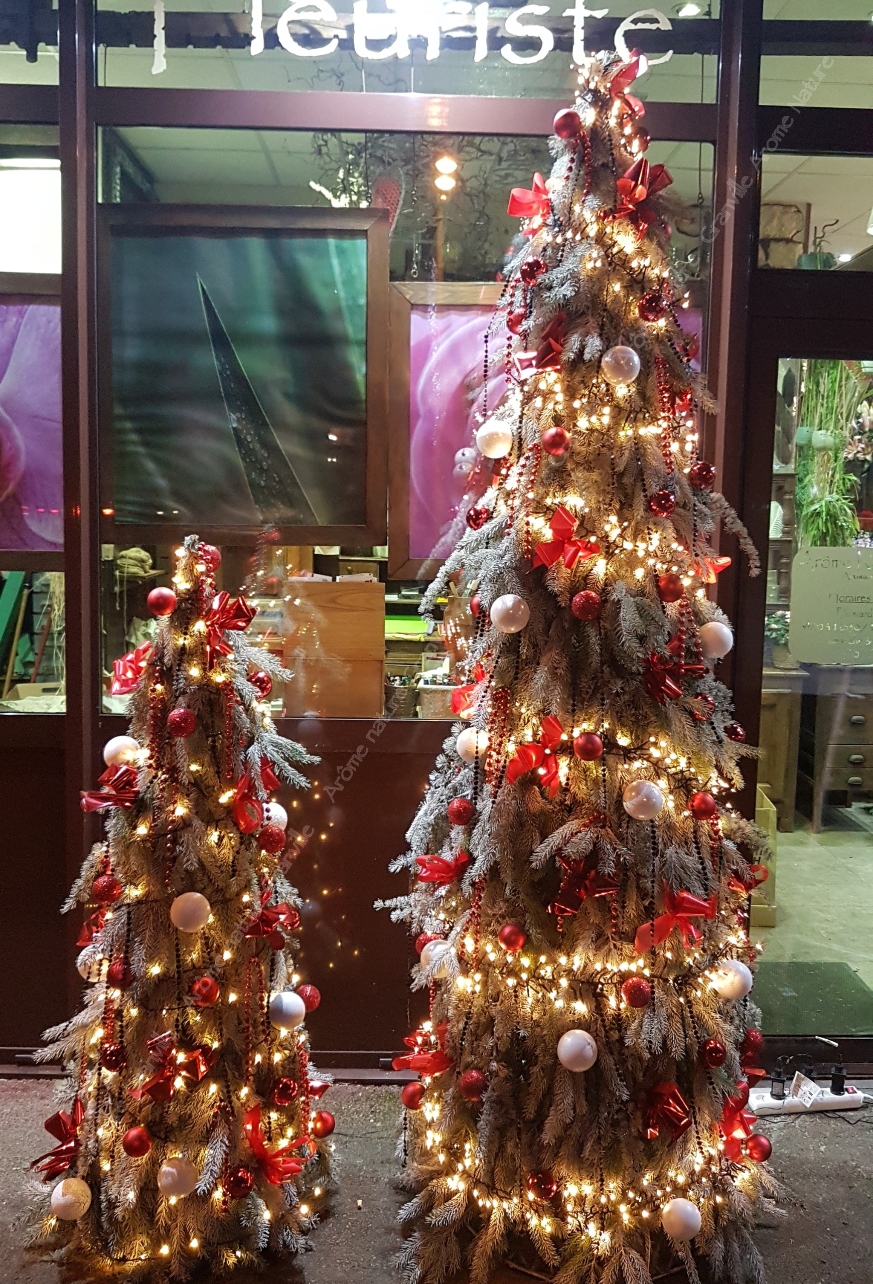 Arome nature - fleuriste granville