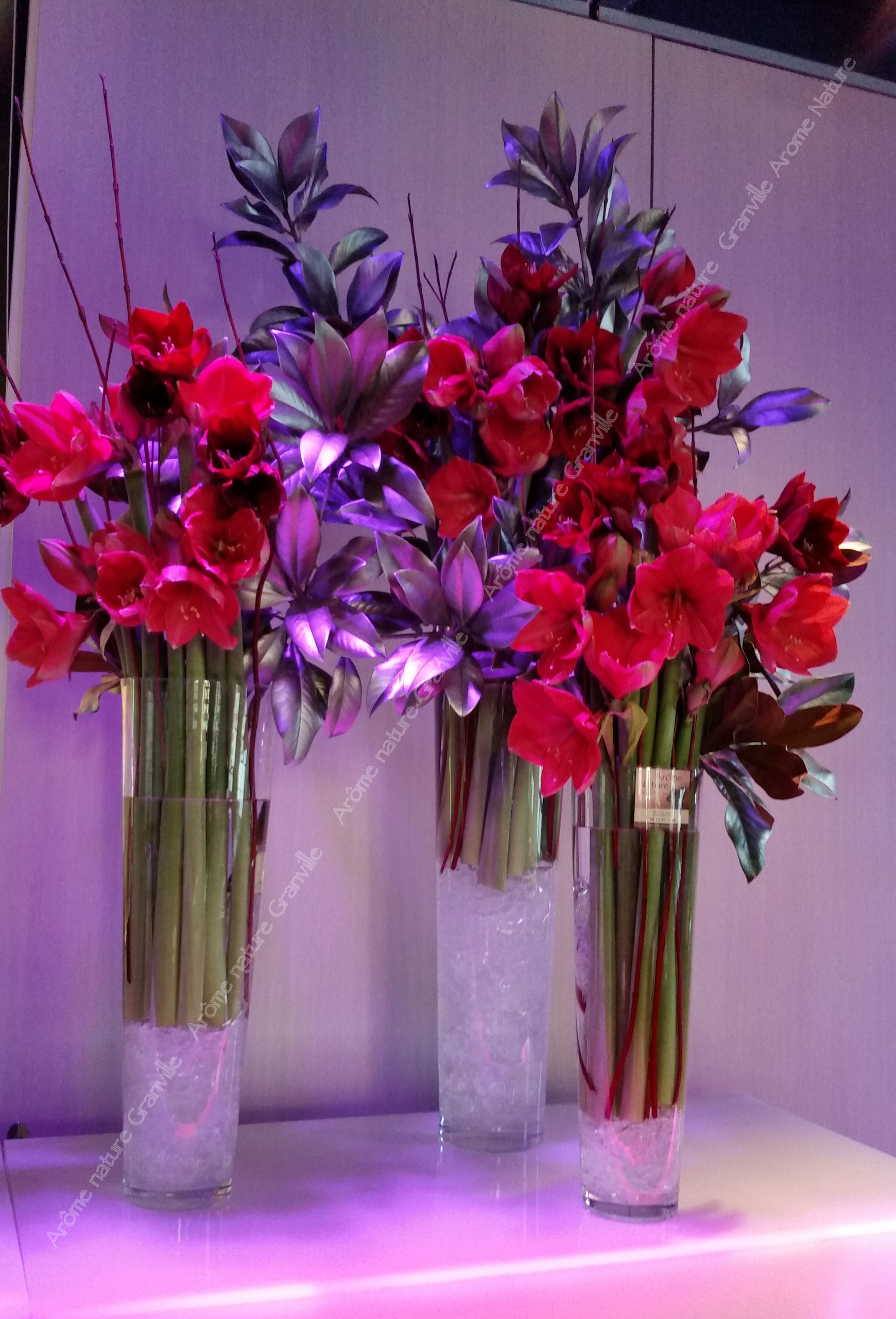 Arome nature - fleuriste granville