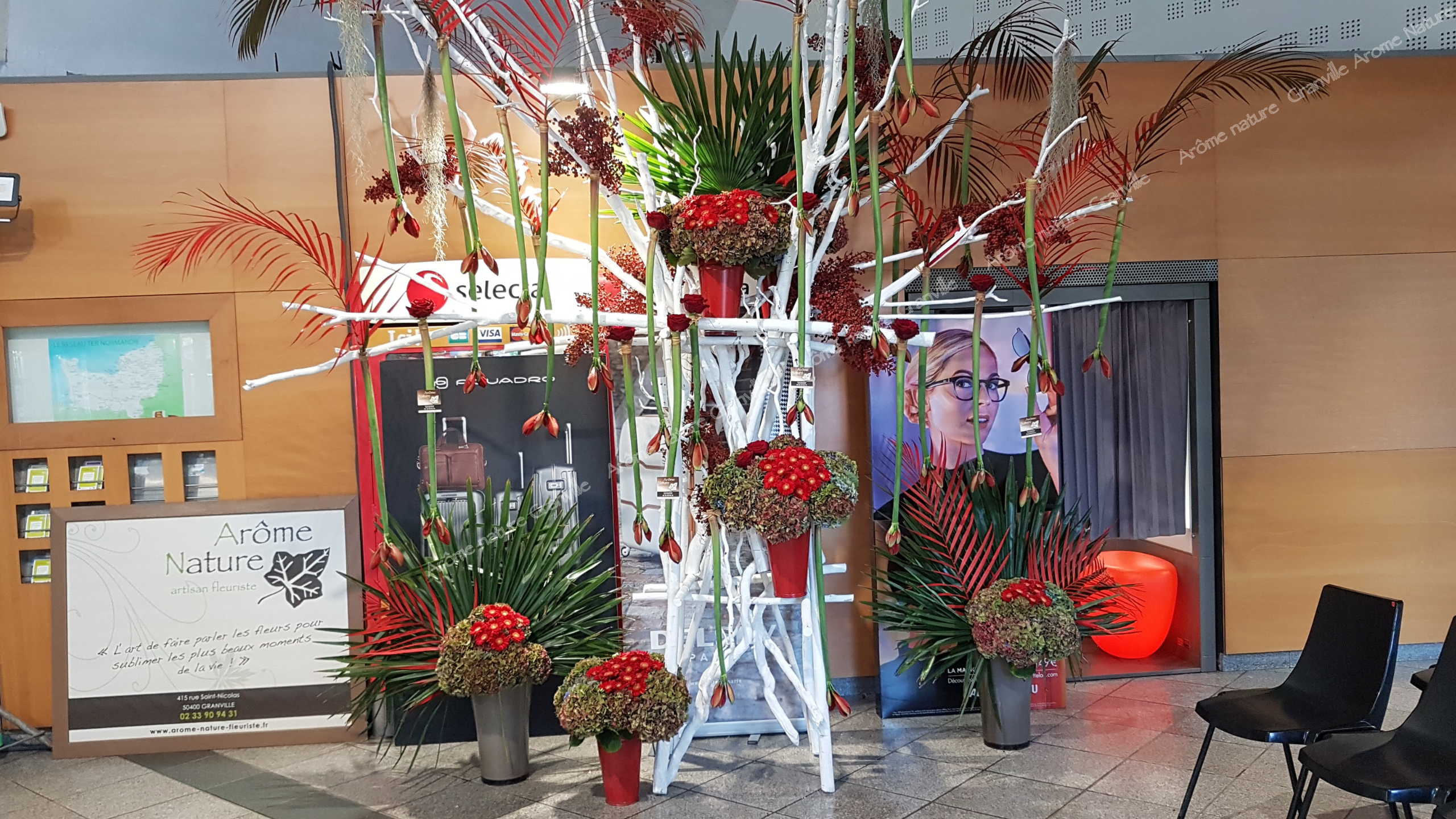 Arome nature - fleuriste granville