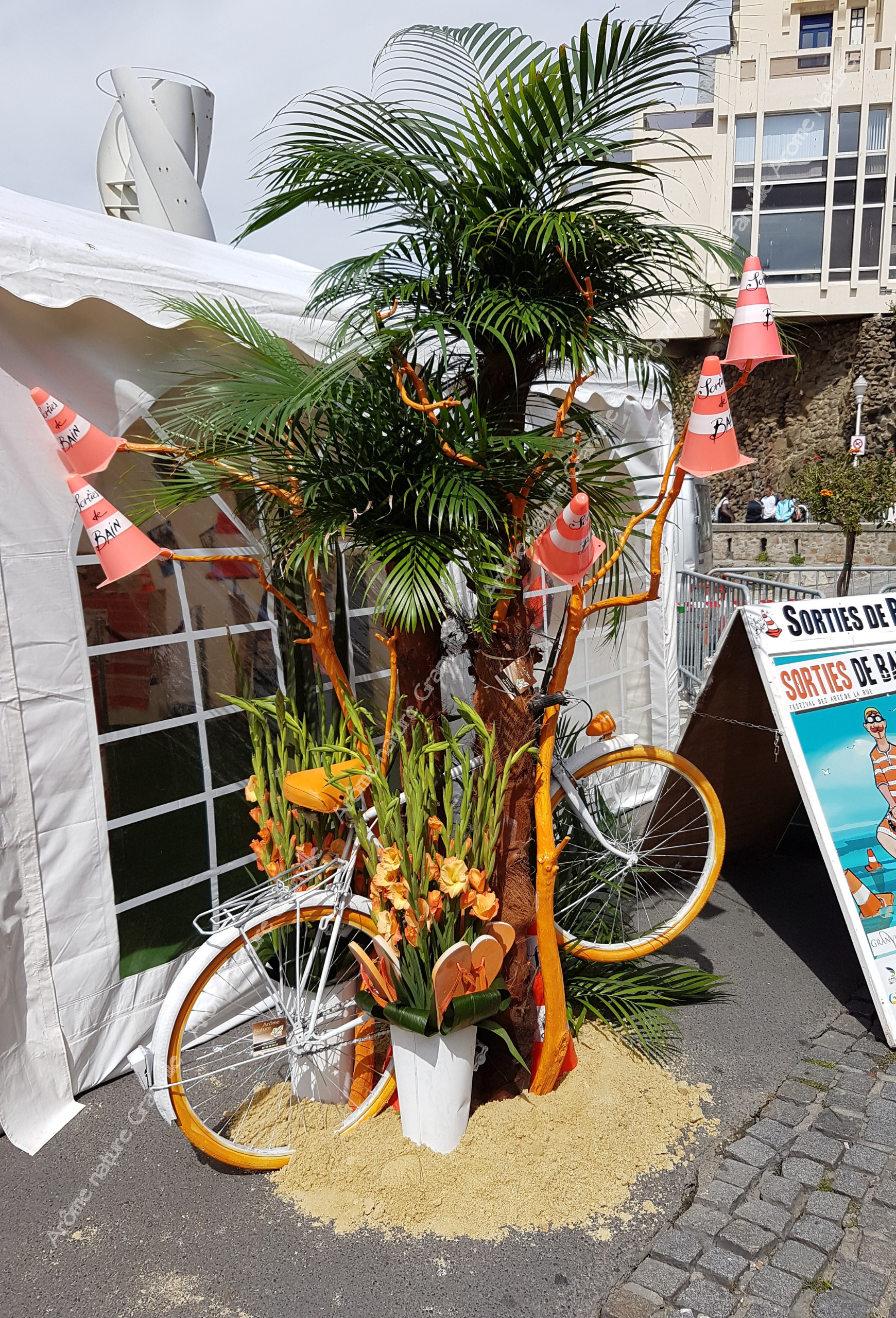 Arome nature - fleuriste granville